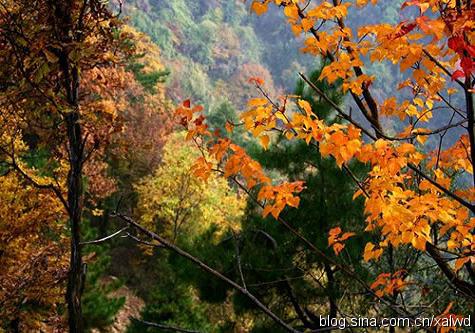 陕西西安旅游景点攻略图,西安旅游景点购票攻略图文