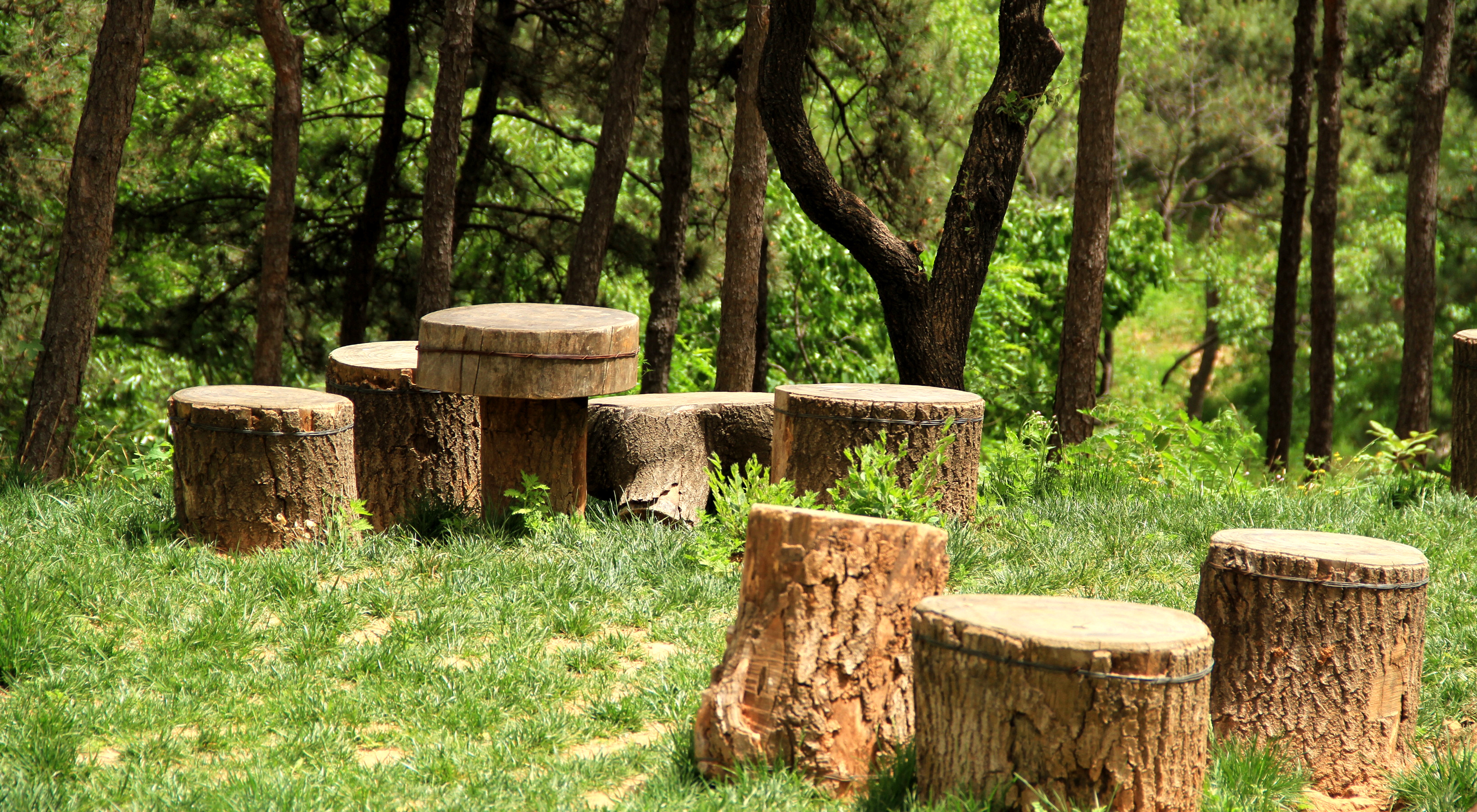 西山国家森林公园从哪进去省钱,西山国家森林公园遛娃线路