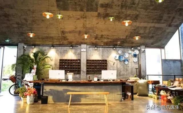 上海可带宠物入住的酒店推荐,怎么选宠物友好酒店房间