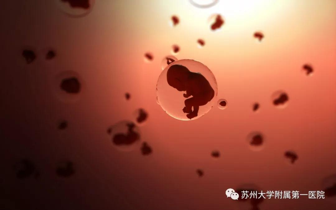 孕期要检查肝胆b超吗,孕期产检的单子有没有收藏的必要