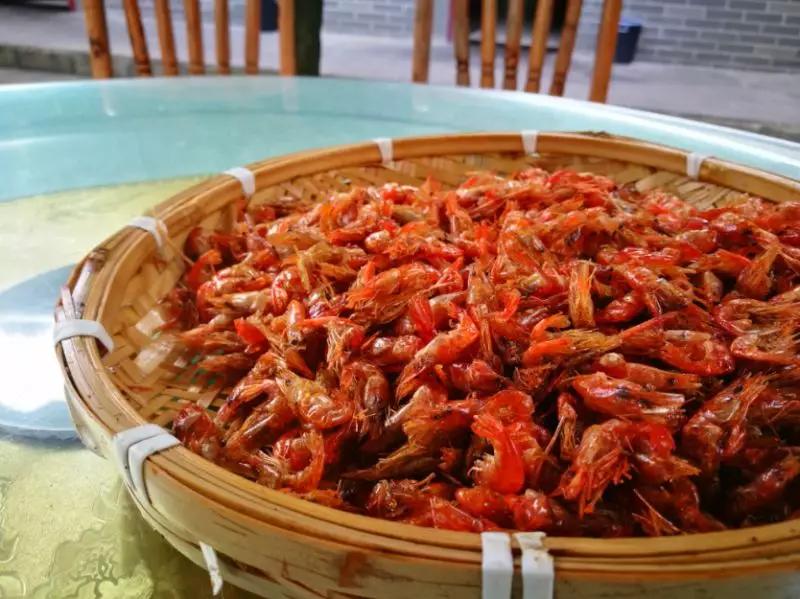 青城山熊猫谷都江堰一日游攻略,熊猫谷青城山都江堰一日游攻略