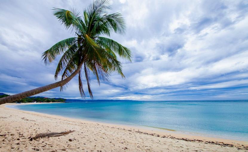 菲律宾srrv是什么,菲律宾人送的礼物