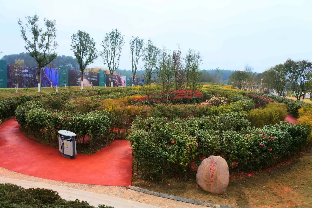 重庆铁山坪森林公园有什么好玩的,重庆赏花一日游最佳去处