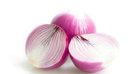 蟑螂防治小妙招,冬季蟑螂不休眠抓住灭蟑的好时机