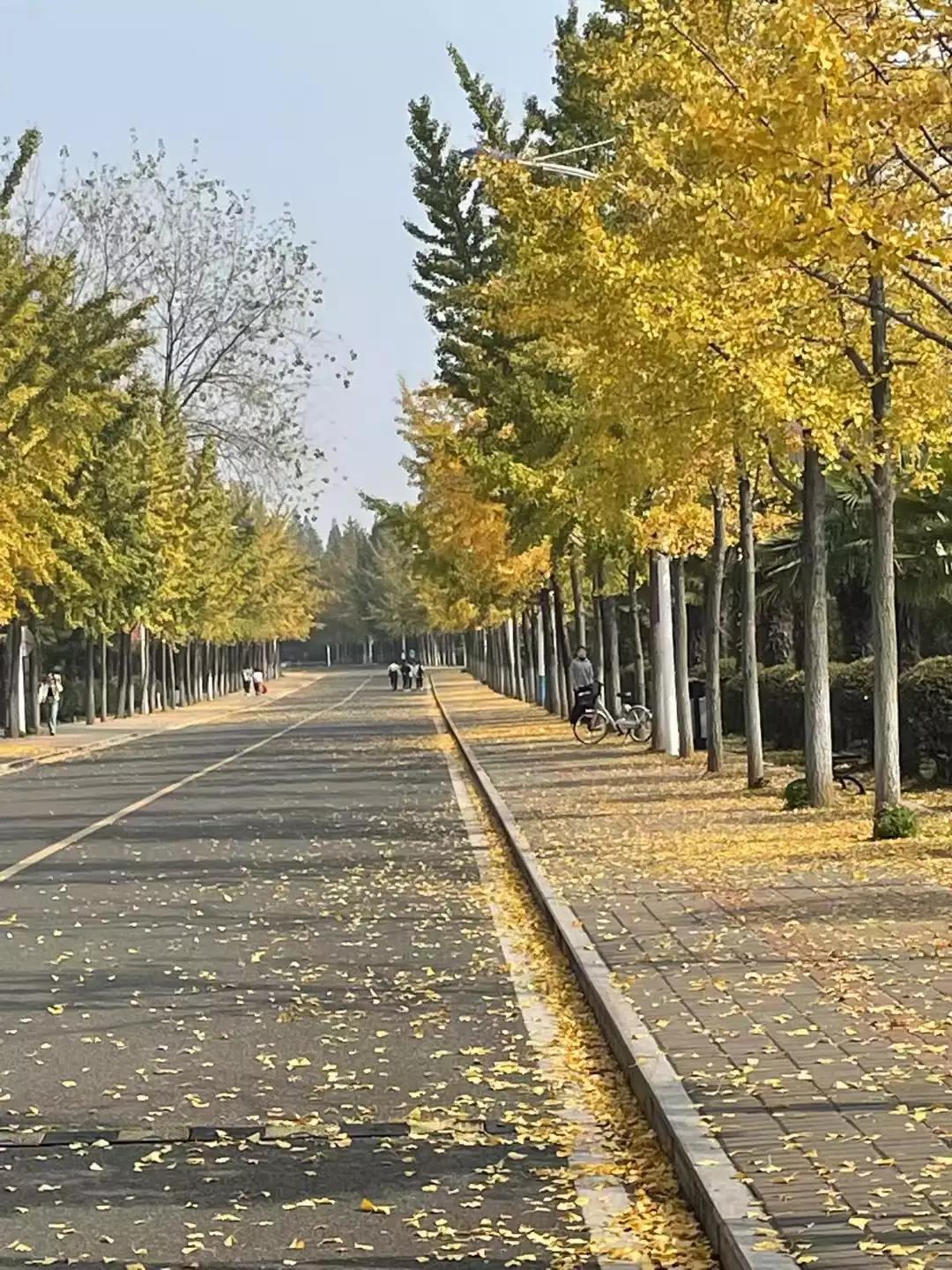 早上问候语简短大全最新,早上问候语简短精华