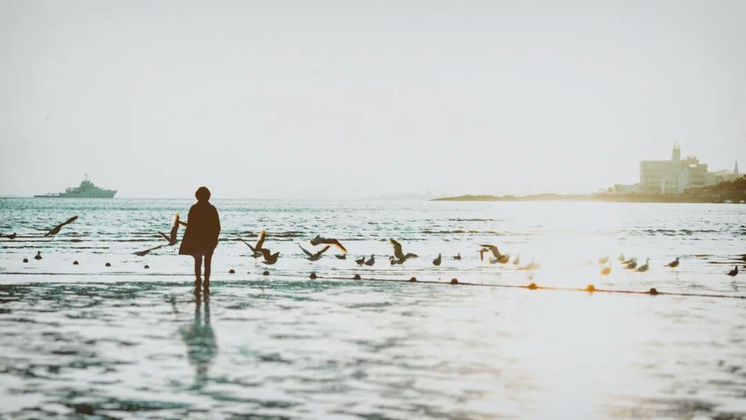 人生少一点感悟,少则得多则惑大道至简