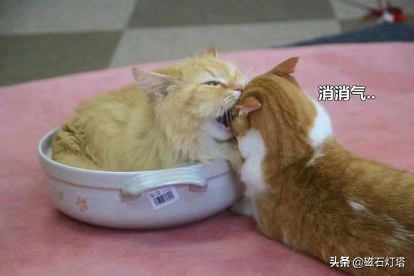 剑侠情缘3剑网三,剑侠情缘剑网3