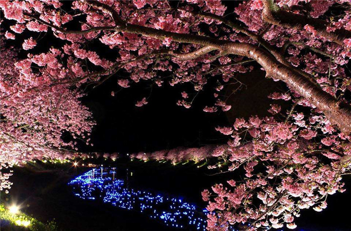 冲田总司基本资料,冲田总司最后一剑