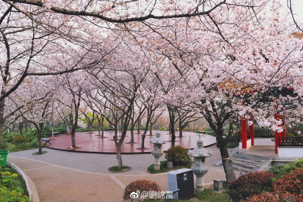 徐州清明假期旅游攻略,徐州春天去哪里旅游好