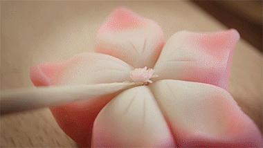 和菓子日本美食,日本的甜品和果子