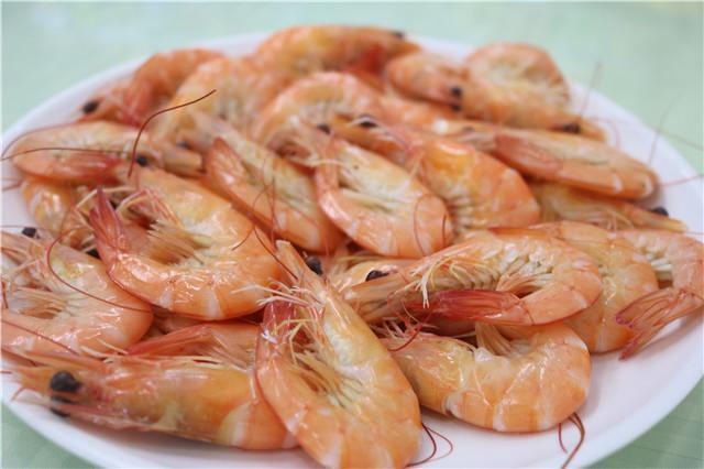 我的海南之旅作文,从海口到三亚感受海南的无限魅力