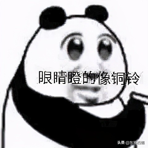 500字作文我真聪明,五篇小作文