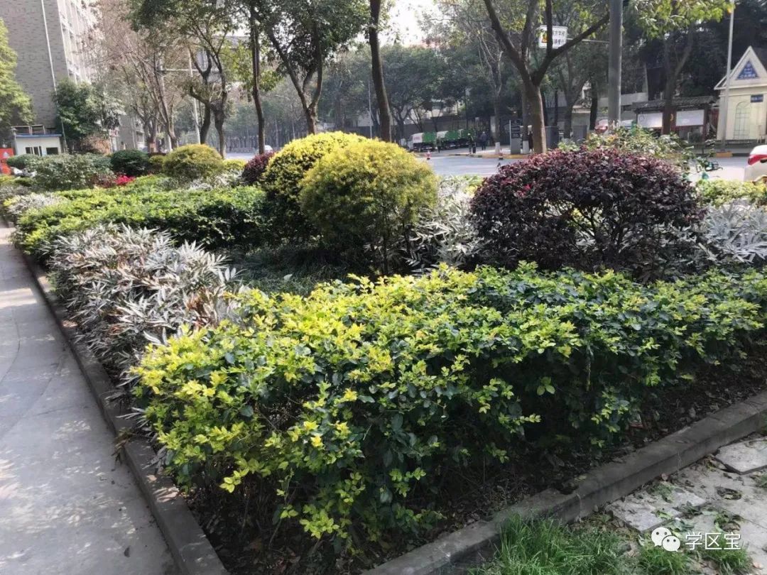 学区房215万,金坛东城小学附近电梯二手房