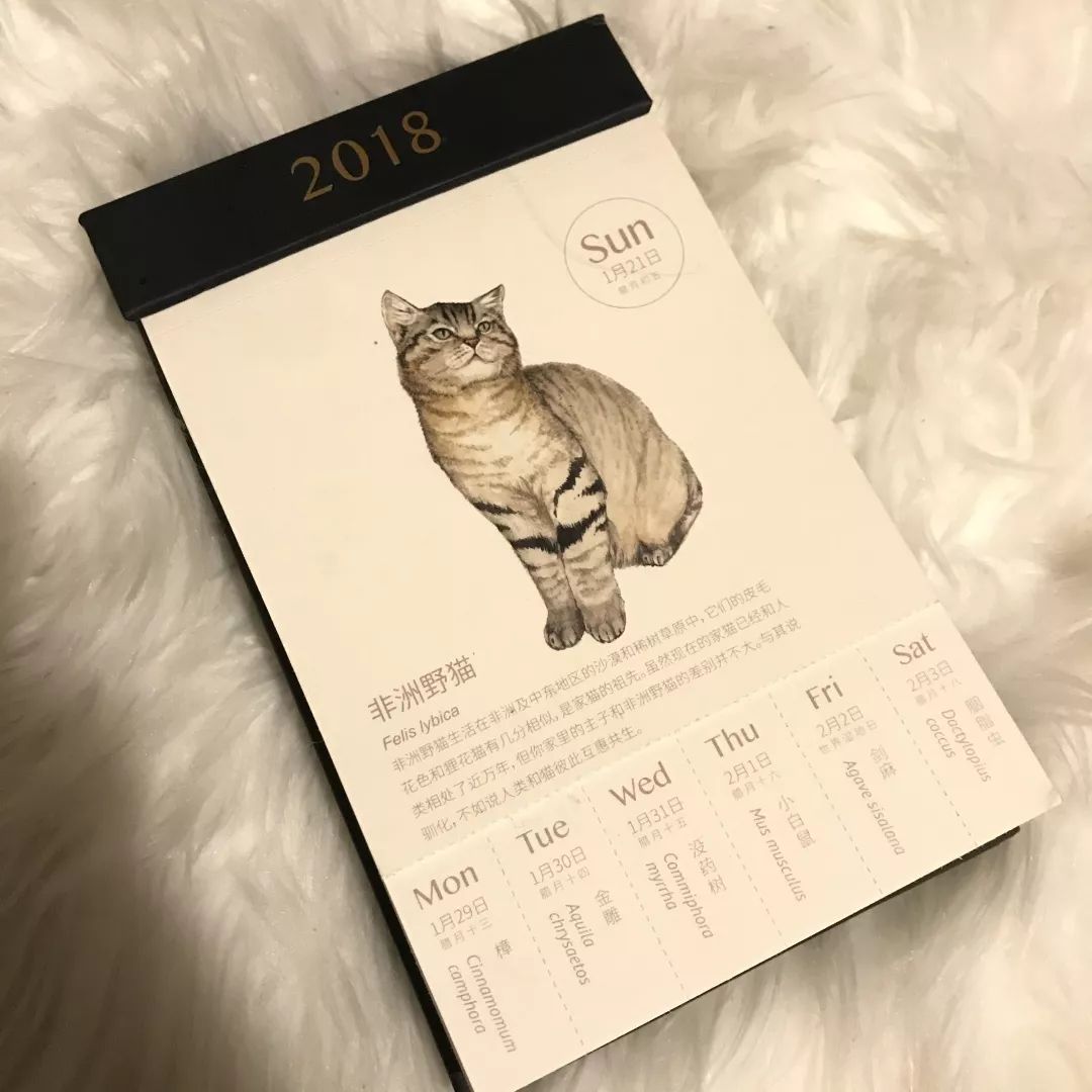 好用又好看的日历,又好看又好用的日历