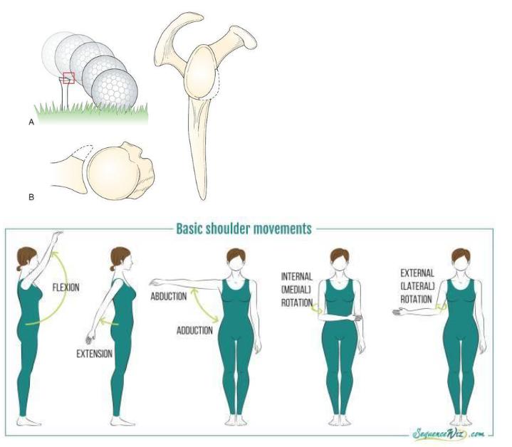 习惯性肩关节脱位怎么办,怎么检查肩关节是不是习惯性脱位