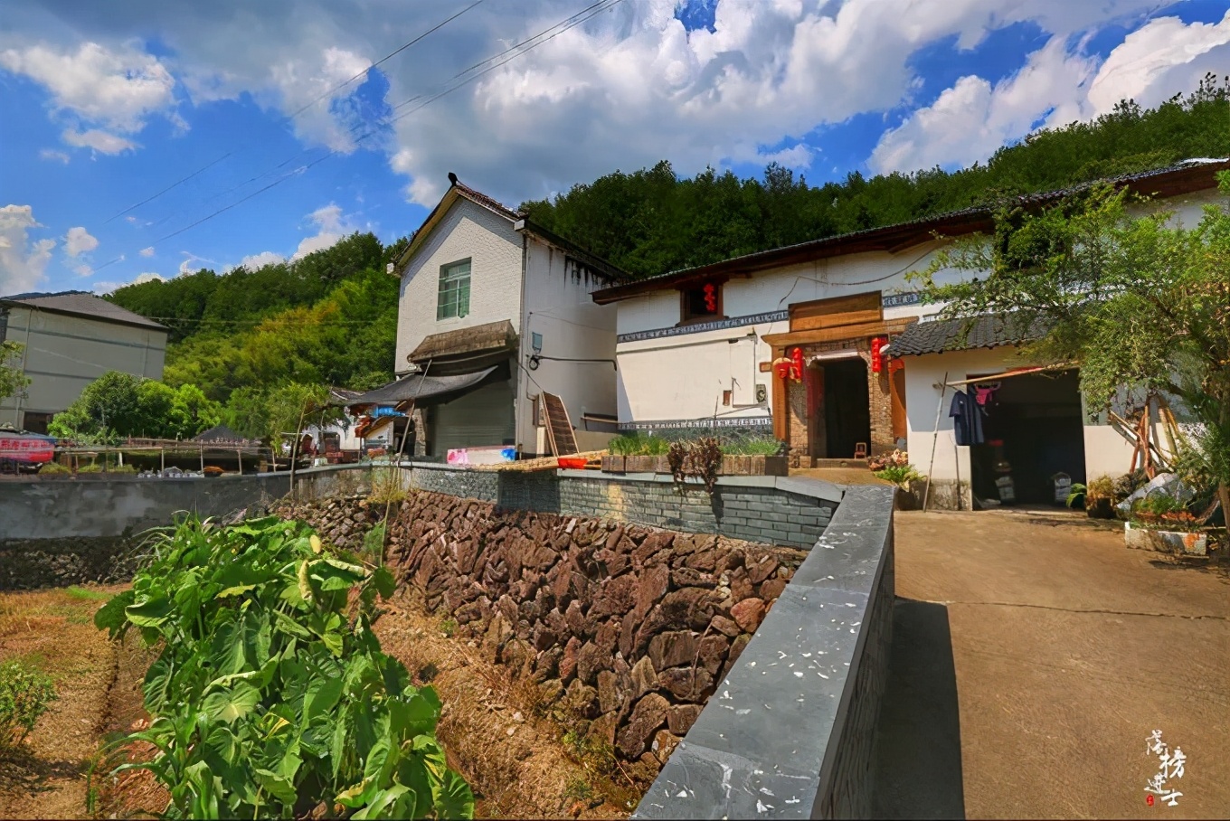 丽水上热搜,浙江丽水现萤火虫星海