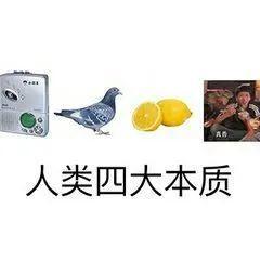 吃瓜一词是怎么来的,吃瓜一词的由来