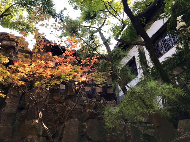 #全民热遗#扬州个园，“中国四大名园”，小园子却藏四季