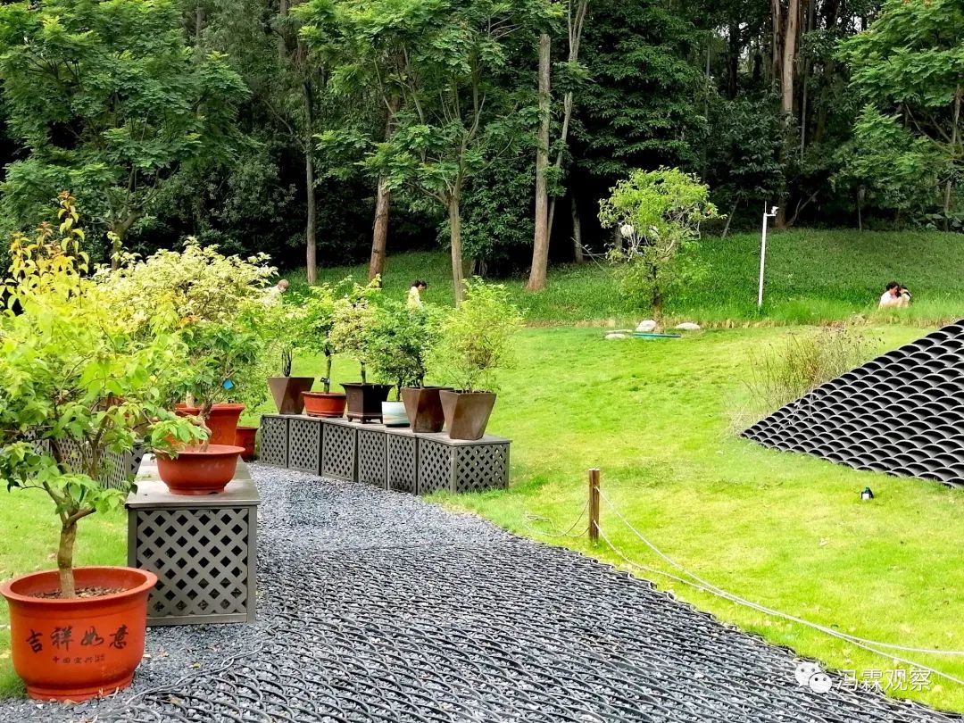 连载（12）：从清茶中飘出来的悠美短文！（文化观察之126）