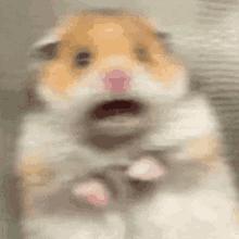 蚊子灭蚊神曲,驱蚊神曲2首