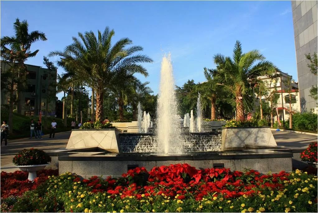 骞垮窞宀崡鑱岄櫌,宀崡鑱岄櫌娓呰繙