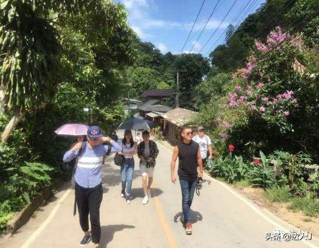 清迈攻略介绍,清迈攻略最全