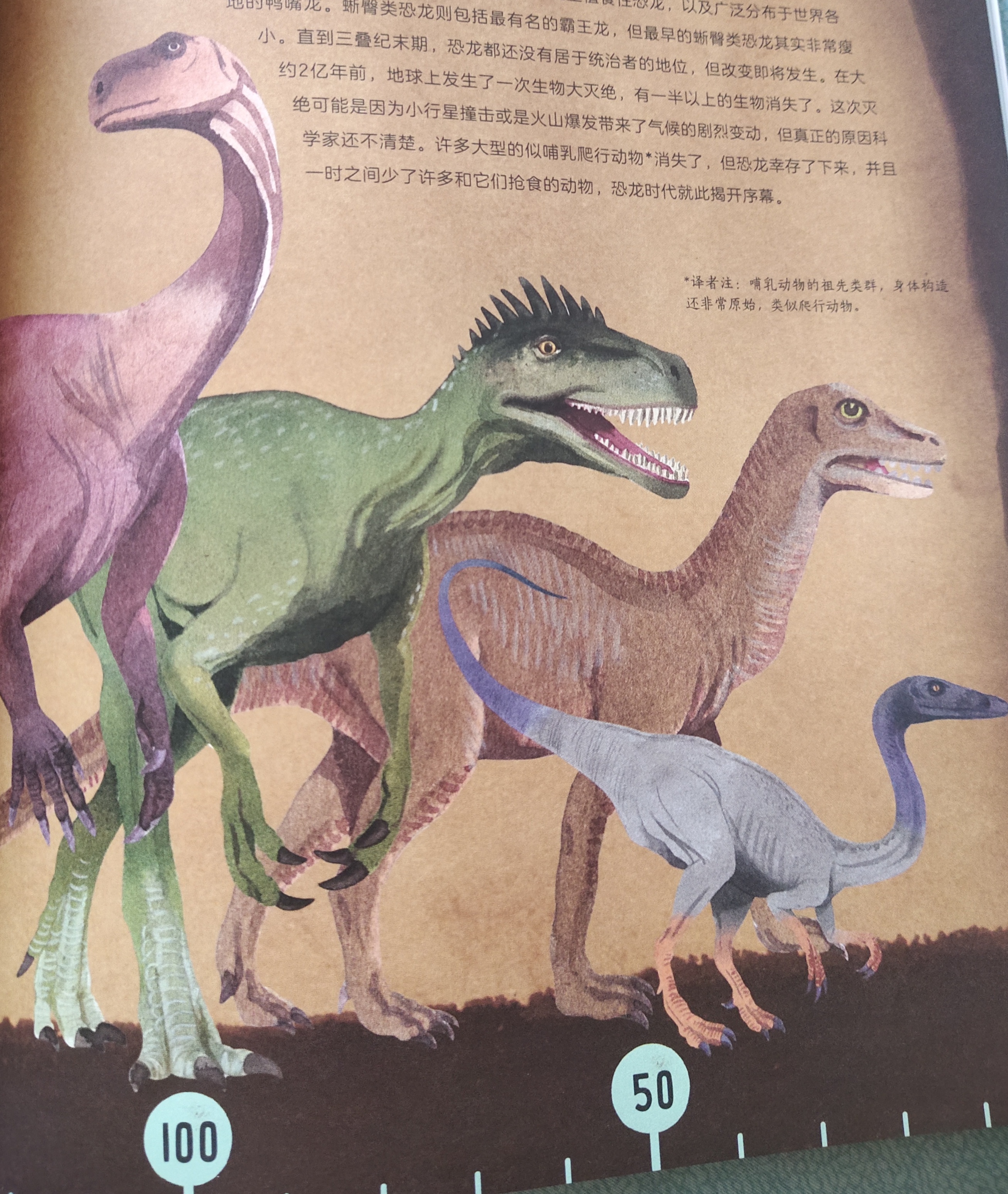 科学院恐龙科普视频,中科院的科普视频