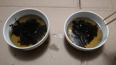 艾叶存放还是做成艾条存放,艾叶好吗