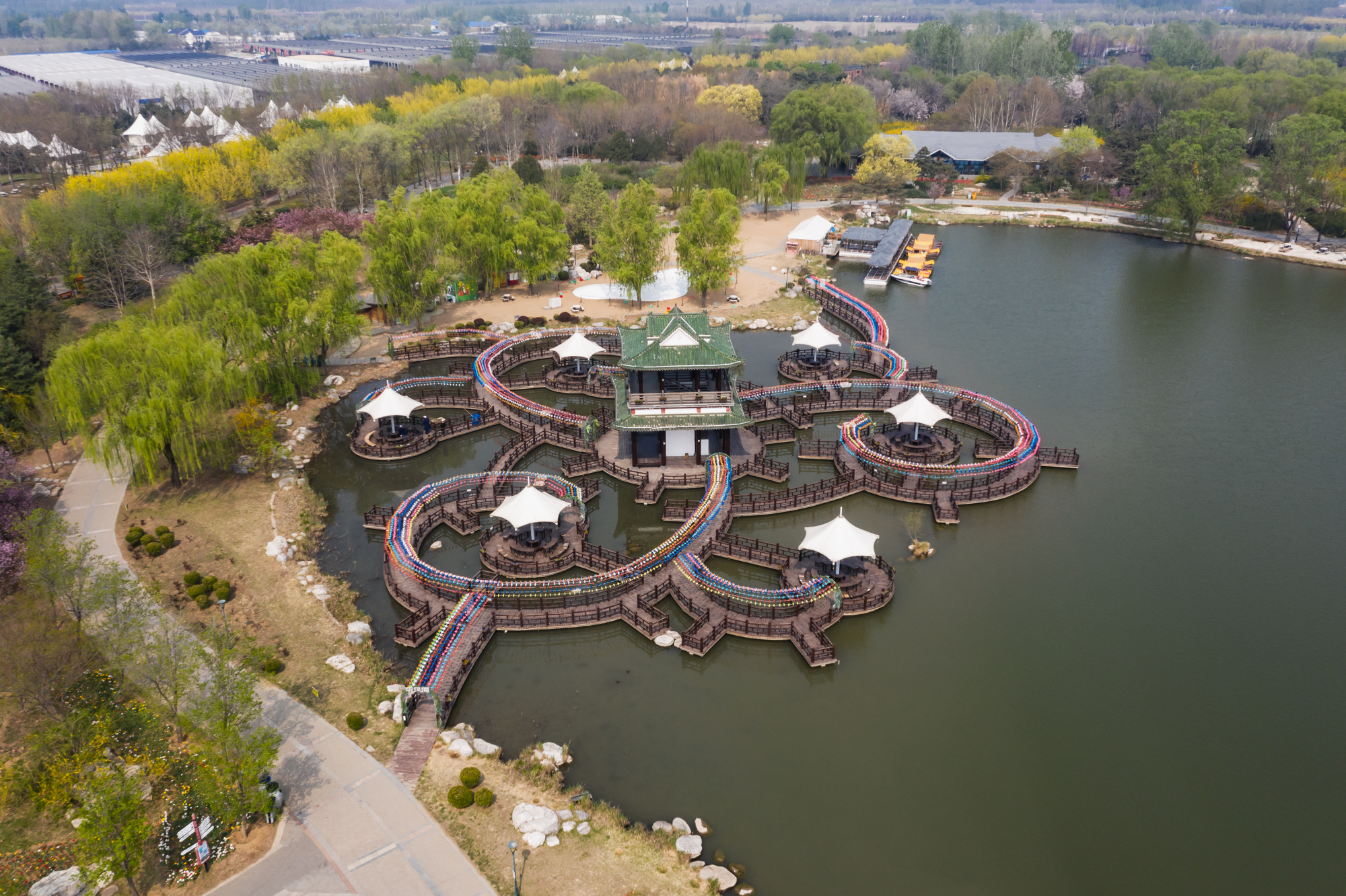 国际鲜花港郁金香,看郁金香北京国际鲜花港