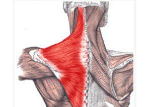 落枕怎么办,落枕了吧