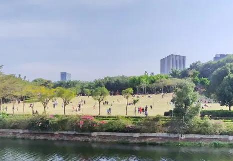湖泊风景区推荐,深圳十大免费主题公园