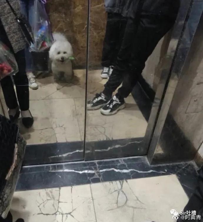 对象偷看你的手机怎么办,对象偷看自己手机怎么办