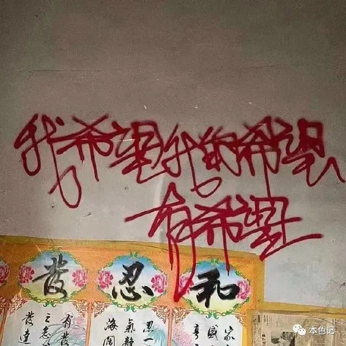 浴室里的小苍蝇,厕所里的苍蝇