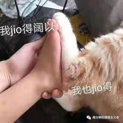 英专生去外企能做什么工作,英专生当英语老师的条件