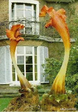 送给群友的美图,最新群相册大全