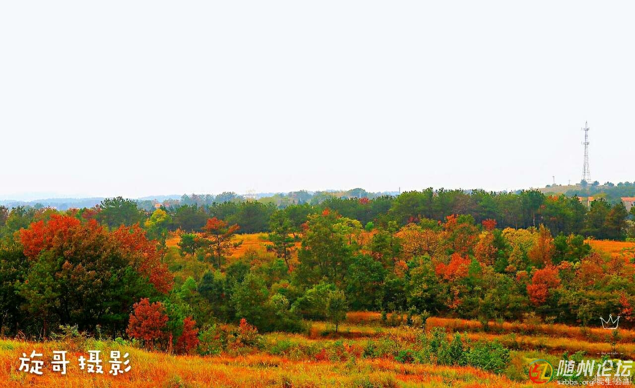 静夜思是李白在哪个地方写下来的,一千多年前李白静夜思诞生的地方