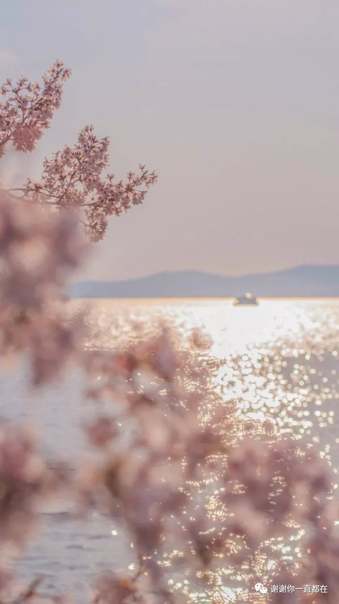 尽管眼泪是无色的却会使眼睛变红