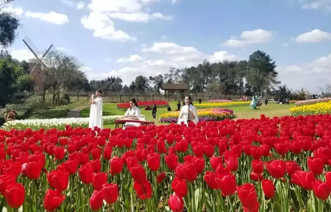 美丽中国一起去看流星雨,美丽中国一起走背面视频