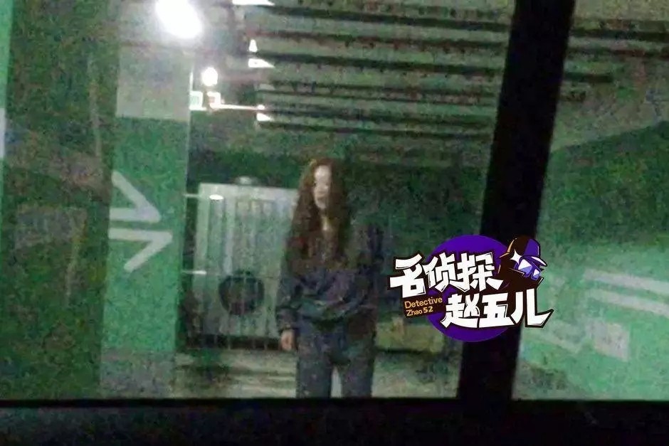 秦海璐嫁给爱情的样子,秦海璐陈宝国三角恋