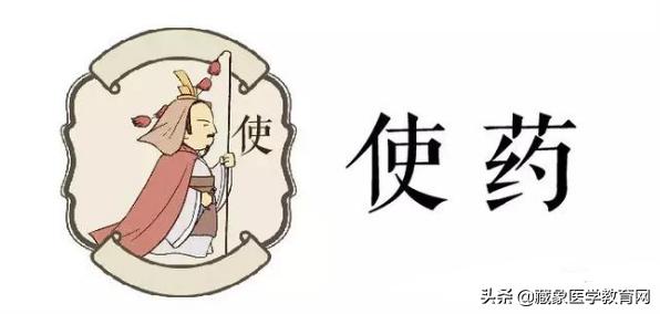 中医药的君臣佐使怎么讲解,中医药方君臣佐使的使一般是什么