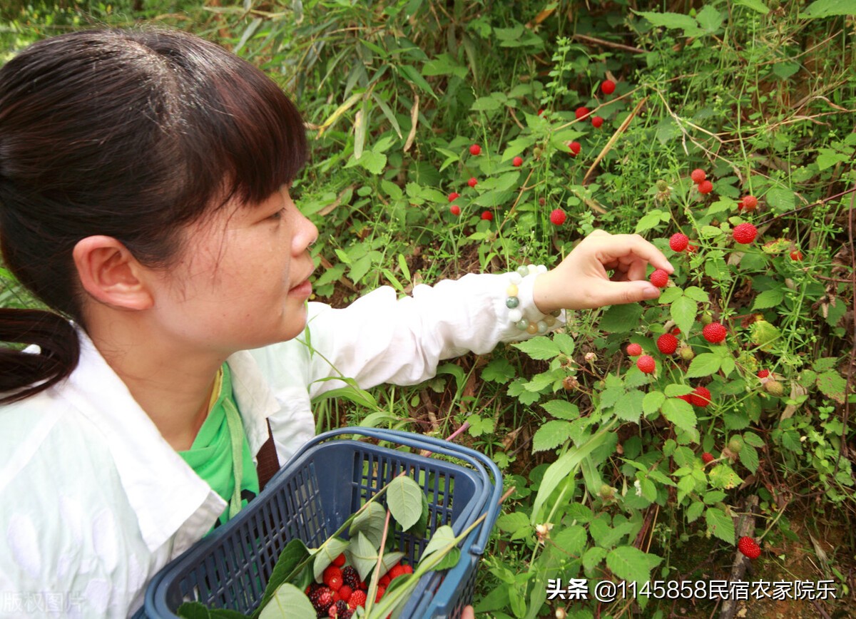 北京十渡山水民宿,北京十渡涵香山居民宿