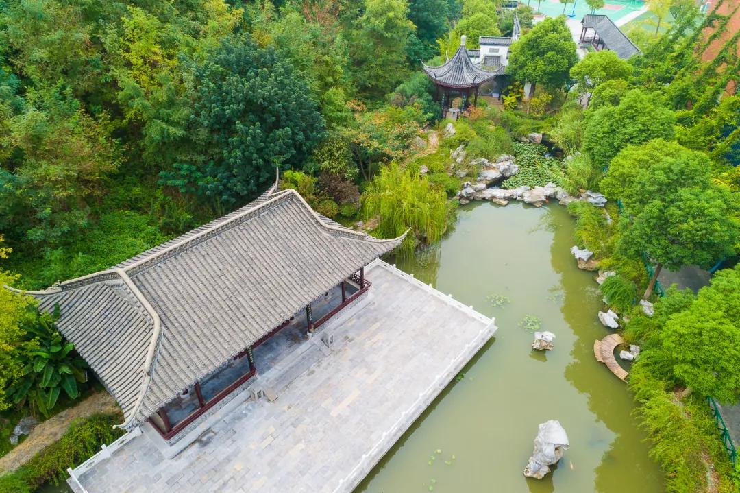 金陵小学和南师附小哪个好一些,金陵小学仙林湖校区一学期学费