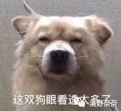 双11买什么化妆品好用,双11美妆大牌有什么优惠