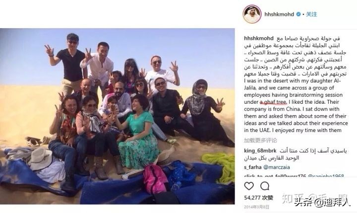 迪拜种植一棵树的成本,在迪拜种一棵树一年的成本