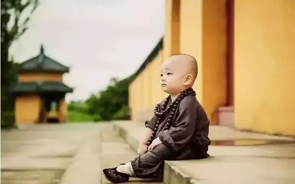 秃顶职业排行榜,什么专业比较容易秃顶