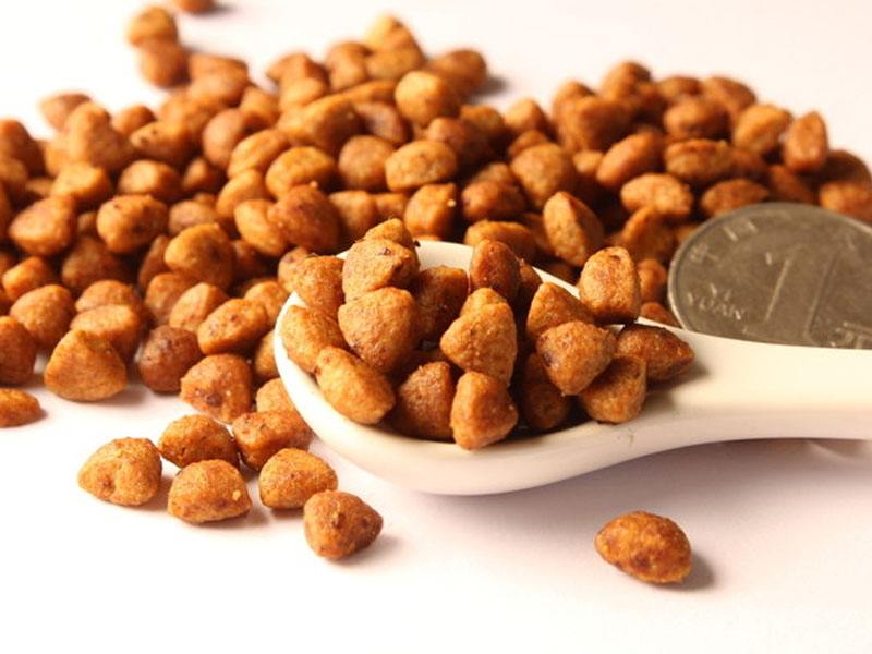 比熊便便很臭怎么办,比熊的屎有点软怎么回事