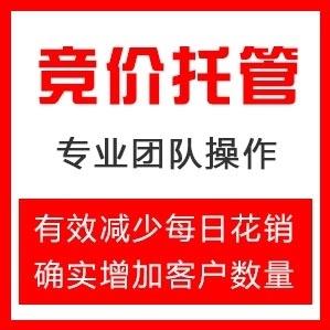 扶翼云信息科技竞价代运营 3天免费托管见到效果再付费