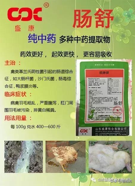鸡咳嗽哮喘拉白痢用什么药治疗,鸡白痢怎么治疗才能彻底根治