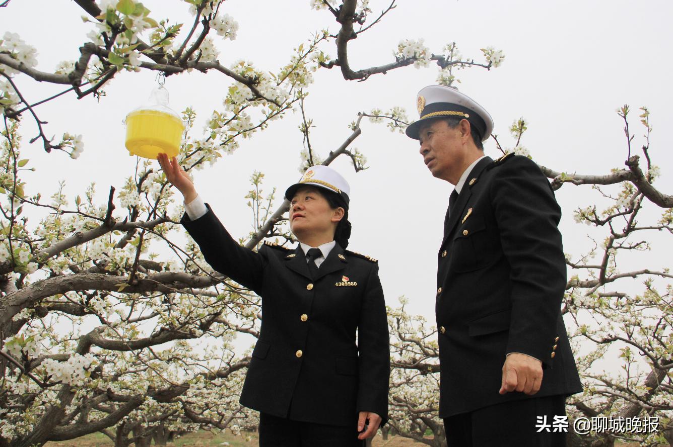 聊城外贸增长开门红,聊城店小二
