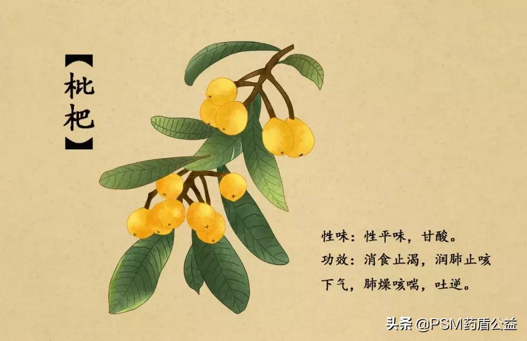 春暖花开手绘视频,春暖花开中药贴画